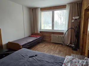 Pronájem bytu 1+1, Litvínov - Horní Litvínov, Tylova, 37 m2