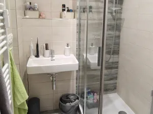 Pronájem bytu 2+1, Plzeň, Koterovská, 56 m2