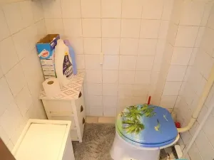 Prodej bytu 1+kk, Praha - Vršovice, Ruská, 39 m2