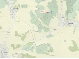 Dražba lesa, Stebno, 1462 m2