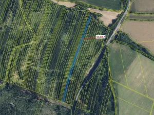 Dražba lesa, Nová Hradečná, 6750 m2