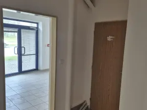 Pronájem obchodního prostoru, Ostrava - Svinov, Fibichova, 43 m2