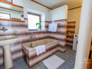 Prodej zemědělského objektu, Plav, 105 m2