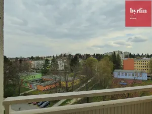 Pronájem bytu 1+kk, Opava, Haškova, 18 m2