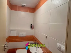 Pronájem bytu 2+1, Včelná, 60 m2