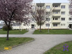 Pronájem bytu 2+1, Zlín - Malenovice, Husova, 50 m2