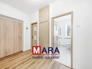 Pronájem bytu 1+1, Olomouc, Štítného, 47 m2