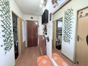 Prodej rodinného domu, Nelahozeves, U Ptz, 90 m2