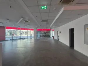 Pronájem obchodního prostoru, Praha - Holešovice, Jankovcova, 291 m2