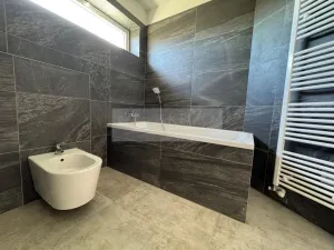 Pronájem rodinného domu, Mladá Boleslav - Debř, Láskov, 165 m2