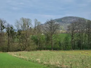 Pronájem pole, Štramberk, Novojičínská, 850 m2