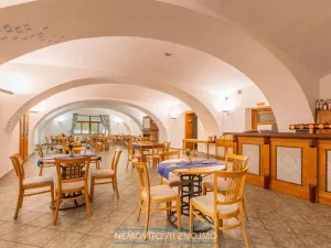 Prodej činžovního domu, Vranov nad Dyjí, 8. května, 911 m2