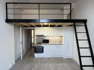 Prodej bytu 1+kk, Ostrava - Přívoz, Palackého, 26 m2