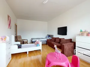 Prodej bytu 2+1, Ústí nad Labem - Krásné Březno, Družstevní, 63 m2