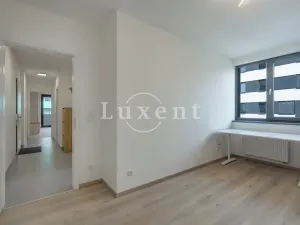 Pronájem bytu 3+kk, Praha - Žižkov, Olgy Havlové, 73 m2