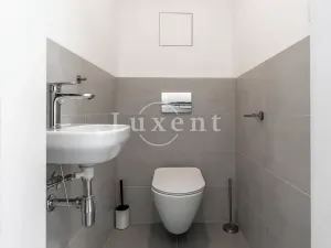 Pronájem bytu 3+kk, Praha - Žižkov, Olgy Havlové, 73 m2