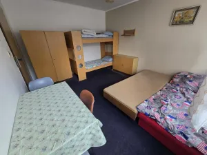 Prodej chaty, Oslnovice, 280 m2