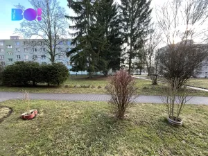 Prodej bytu 1+1, Žďár nad Sázavou, Haškova, 35 m2