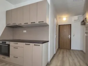 Pronájem bytu 1+1, České Budějovice - České Budějovice 2, 31 m2