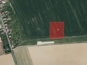 Prodej pole, Kněžice, 10659 m2