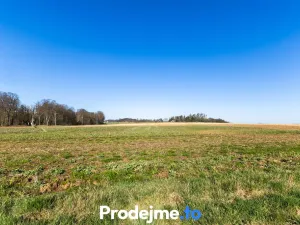 Prodej pozemku pro bydlení, Budišov, 564 m2