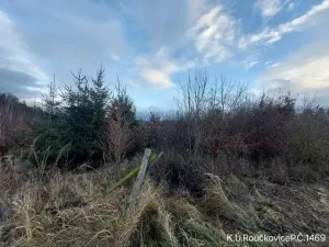 Prodej lesa, Pacov, 10995 m2