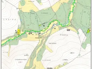 Prodej lesa, Pacov, 10995 m2