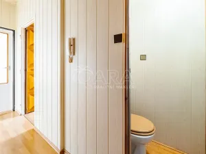 Prodej bytu 3+1, Tábor, 83 m2