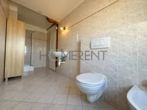 Pronájem bytu 3+kk, Praha - Vinohrady, Šumavská, 104 m2