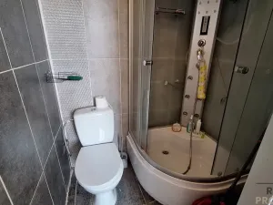 Prodej činžovního domu, Trmice, U Mlýnského potoka, 229 m2