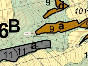 Dražba lesa, Hovězí, 115 m2