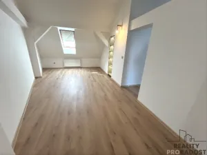 Pronájem bytu 3+kk, Hodonín, Měšťanská, 130 m2