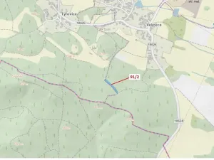 Dražba lesa, Pačejov, 1363 m2