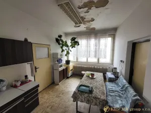 Prodej obchodního prostoru, Lysá nad Labem, Tyršova, 700 m2