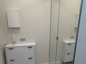 Pronájem bytu 2+1, Praha, Vrchlického, 51 m2