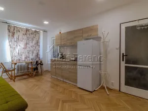Pronájem bytu 1+kk, Praha - Břevnov, Bělohorská, 20 m2