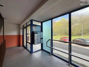 Prodej bytu 3+1, Krupka - Maršov, Dukelských hrdinů, 68 m2