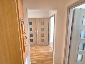 Prodej bytu 2+kk, Teplice - Trnovany, Přítkovská, 47 m2