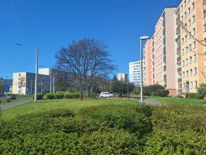 Prodej bytu 2+kk, Teplice - Trnovany, Přítkovská, 47 m2