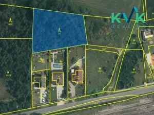 Prodej lesa, Straškov-Vodochody, 2231 m2