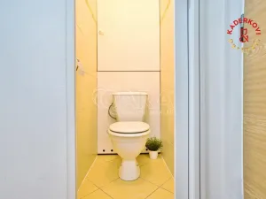 Pronájem bytu 2+1, Velké Opatovice, nám. Míru, 63 m2