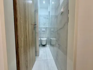 Prodej bytu 1+1, Praha - Žižkov, Hartigova, 29 m2