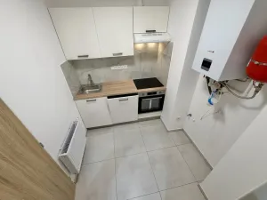 Prodej bytu 1+1, Praha - Žižkov, Hartigova, 29 m2