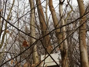 Prodej pozemku, Vsetín, 52963 m2