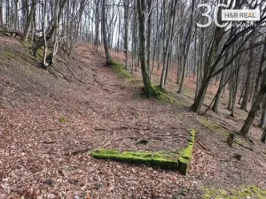 Prodej pozemku, Vsetín, 52963 m2