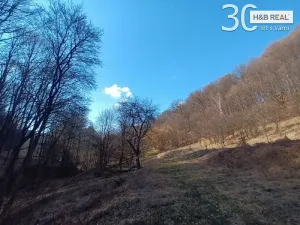 Prodej pozemku, Vsetín, 52963 m2