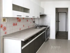 Prodej bytu 2+1, Písek - Budějovické Předměstí, třída Přátelství, 60 m2