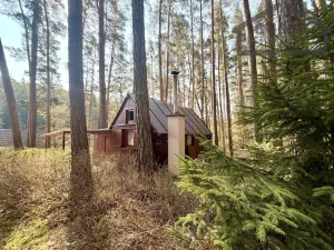 Prodej chaty, Tachov - Oldřichov, 41 m2