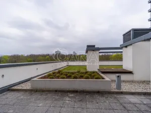 Pronájem bytu 1+kk, Praha - Žižkov, Olšanská, 37 m2