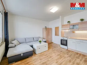 Pronájem bytu 1+kk, Plzeň - Severní Předměstí, Sokolovská, 27 m2